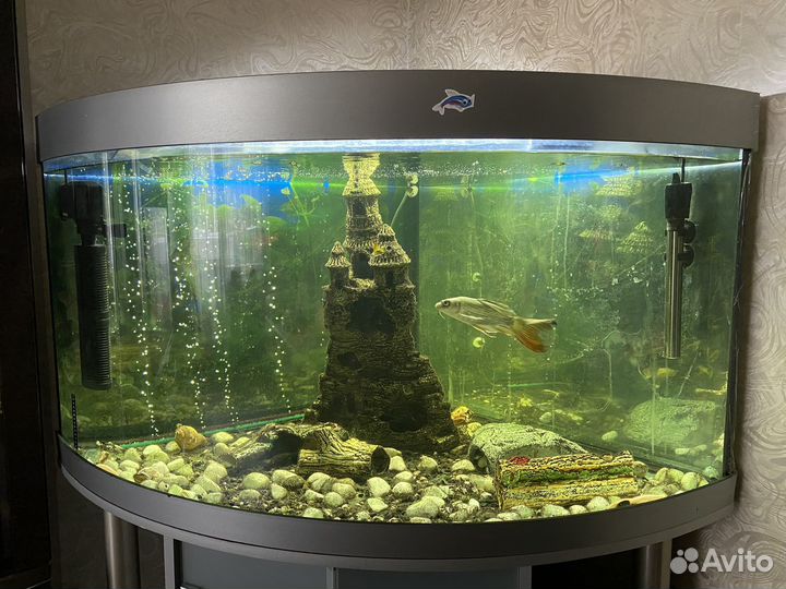 Аквариум с тумбой juwel 350 л