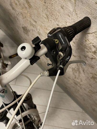 Подростковый Велосипед Welt Edelweiss 24 (2016)