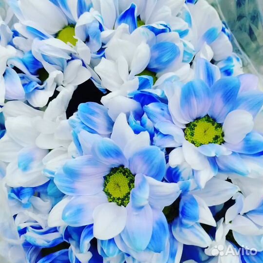 Цветы розы и букеты с доставкой