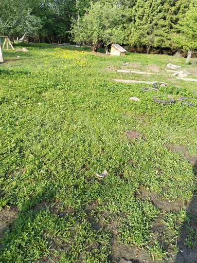 Участок 25 сот. (СНТ, ДНП)