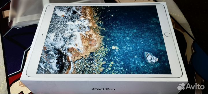 iPad Pro 10.5 WI-FI 512Gb