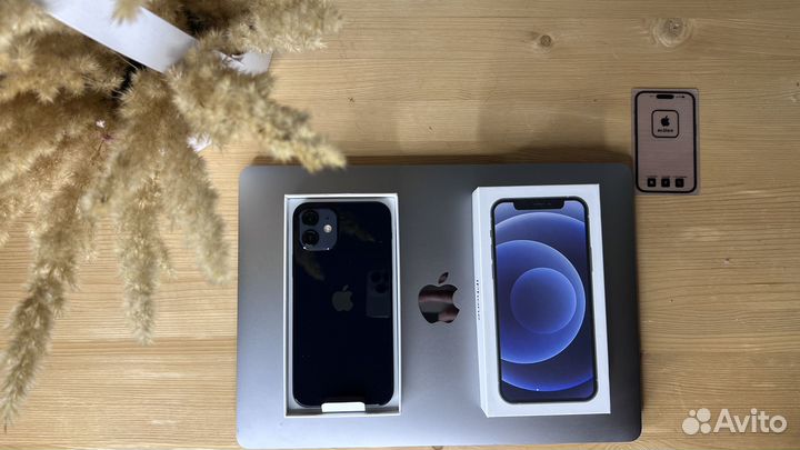 iPhone 12, 256 ГБ