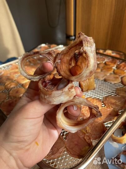 Мясо для собак