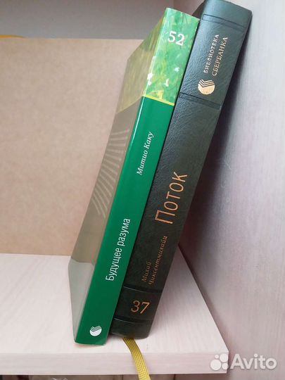 М. Чиксентмихайи 