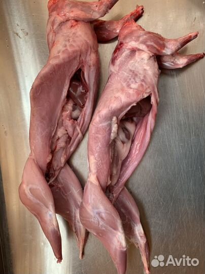 Мясо кролика