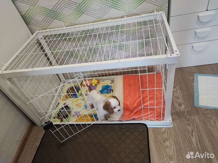 Клетка для собак