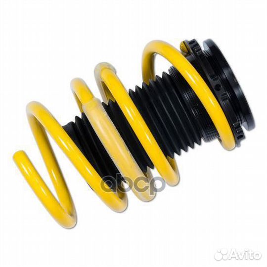 Пружины рег. по высоте 27310056 ST suspensions
