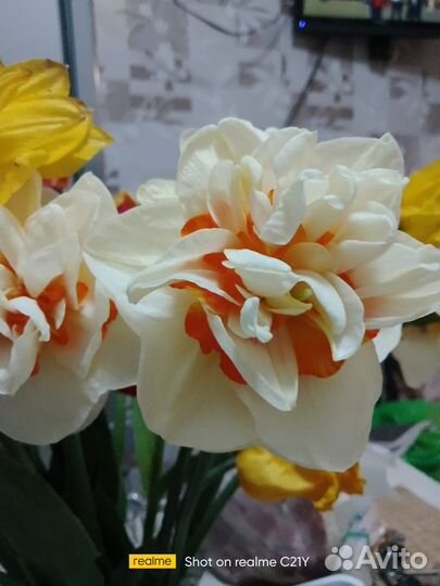 Клубни цветов