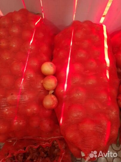 Помидоры сливка