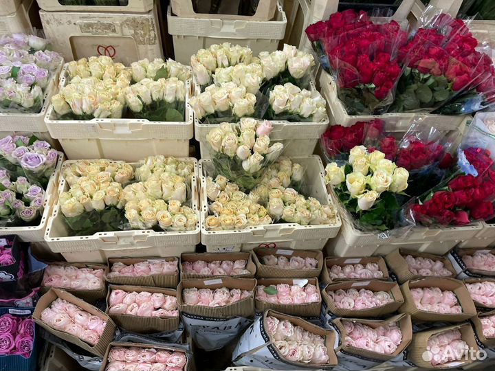 Букет из пионов доставка