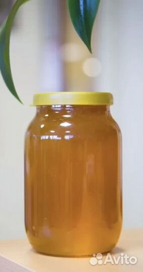 Мед Алтайский разнотравие