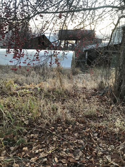 Дом 60 м² на участке 8 сот.