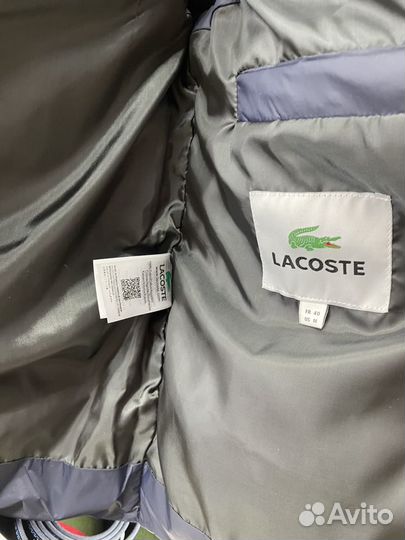 Жилет Lacoste