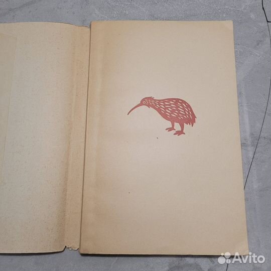 Киви. Железнова, Лебедев. 1966 г