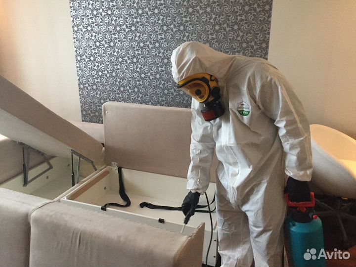 Уничтожение Клопов Тараканов Клещей Ос Борщевика