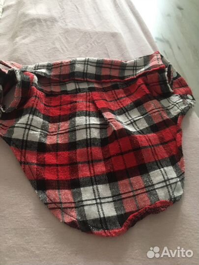 Модная рубашка для собак мелких пород