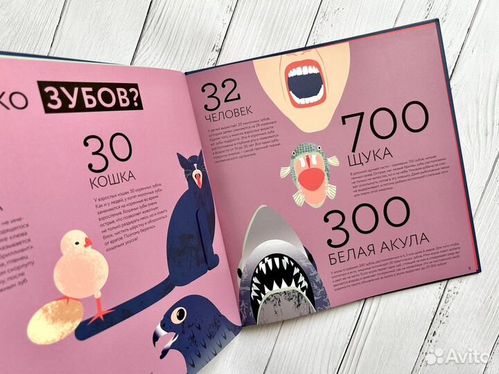 Я считаю всё