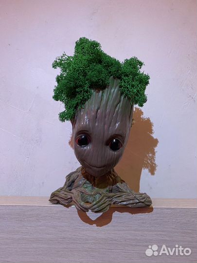 Моссариум Грут