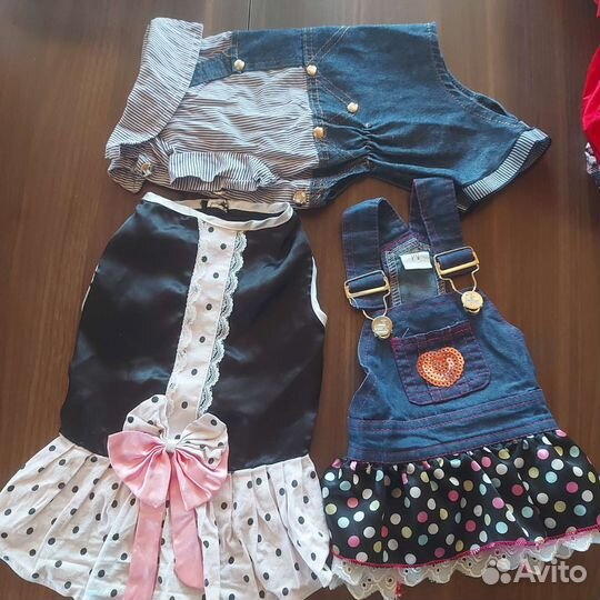 Одежда для собак мелких пород