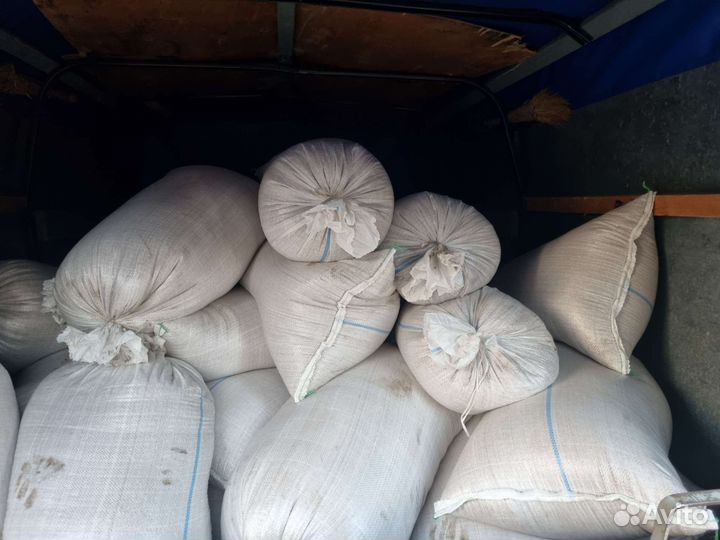 Продам зерно пшеницы