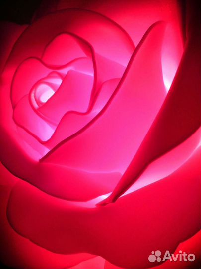 Торшер-роза