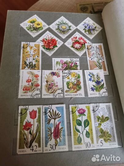 Альбом и марки