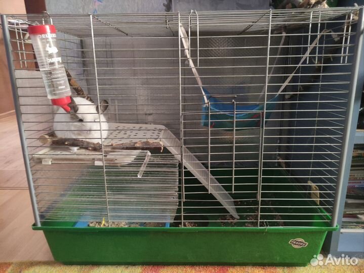Клетка для грызунов, шиншилл