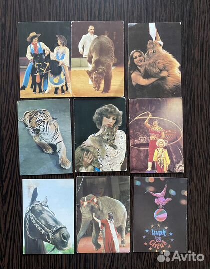 Календари карманные СССР, серия Цирк