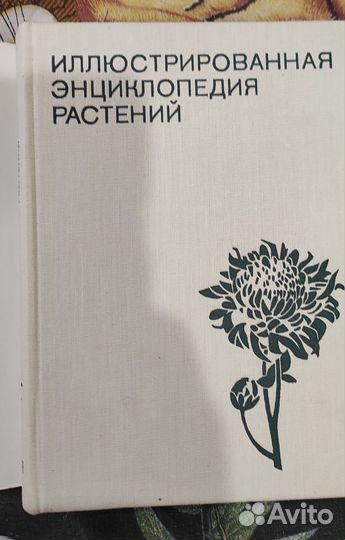 Иллюстрированная энциклопедия растений
