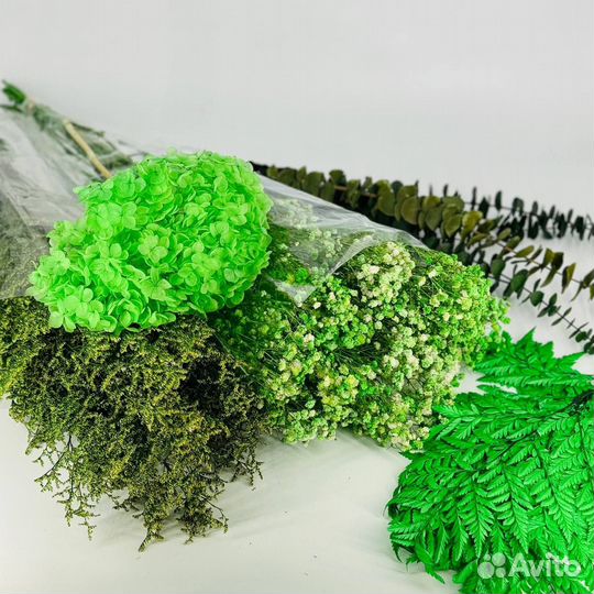 Стабилизированные цветы салатовые создание букета