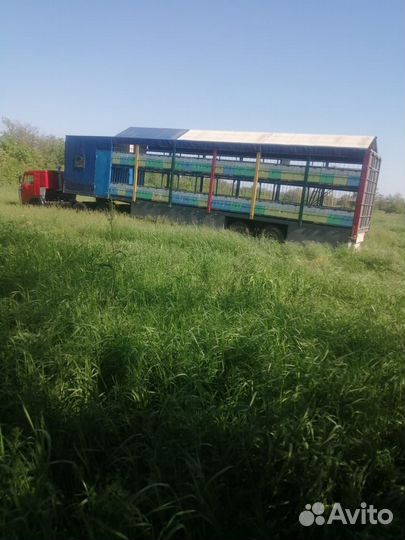 Полуприцеп бортовой МАЗ 9758, 1999