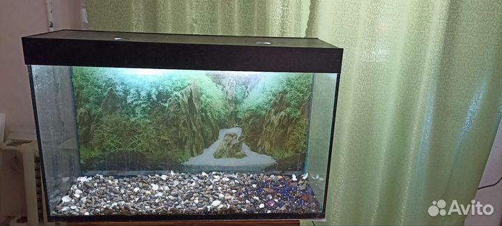 Аквариум