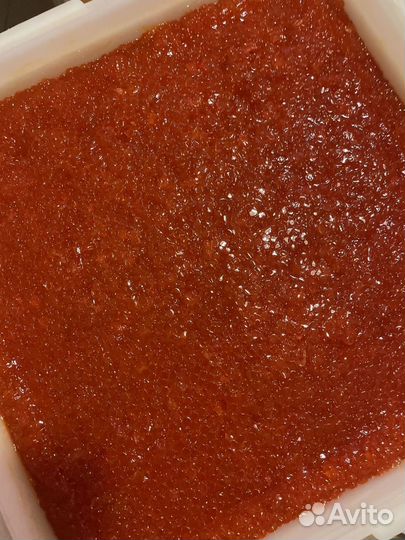 Икра Горбуши 2023 Камчатка