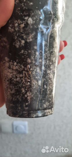 Пальма драцена