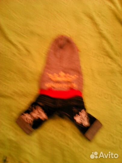 Одежда для маленькой собачки