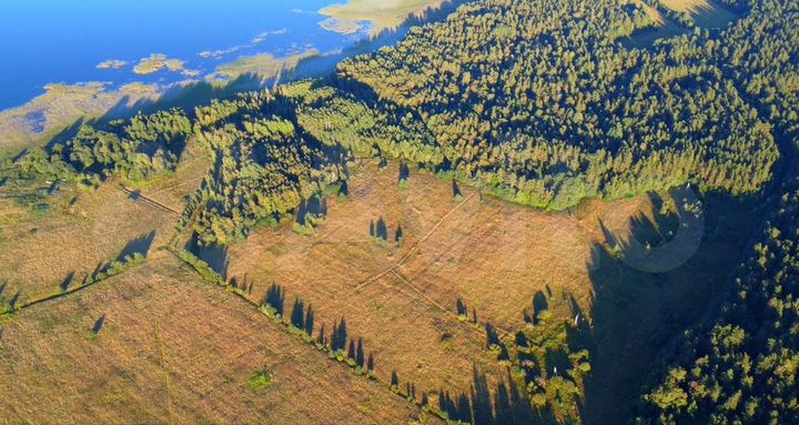 Участок 5,5 га (СНТ, ДНП)