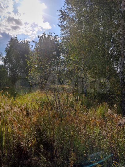 Участок 25,32 га (ИЖС)