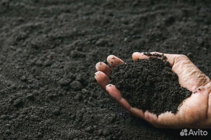 Земля чернозем