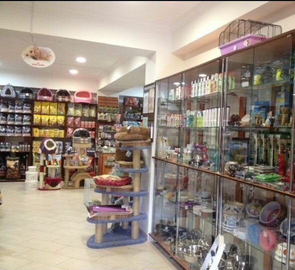 Торговое помещение