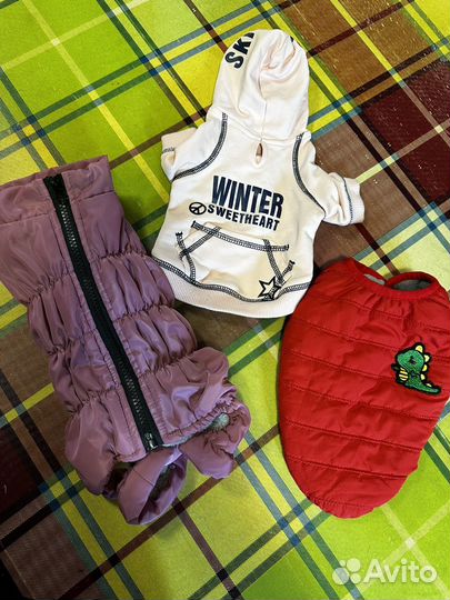 Одежда для маленьких собак той терьер чихуахуа