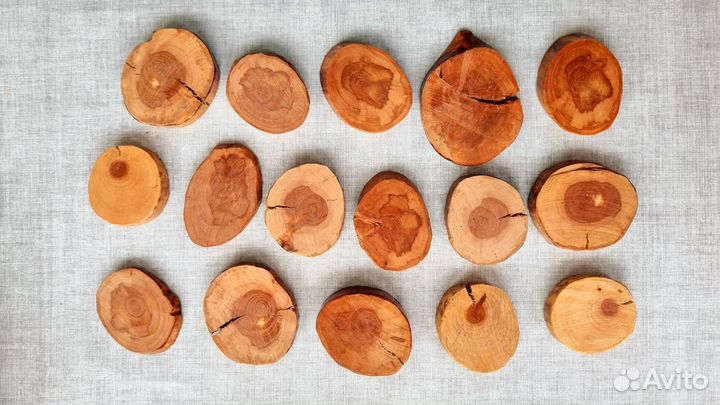 Спилы Дерева Ель лаковые для декора