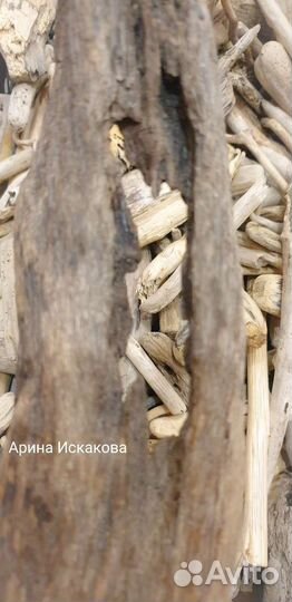 Дрифтвуд, коряги для аквариума, террариума