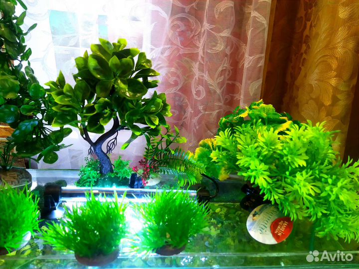 Украшения для аквариума