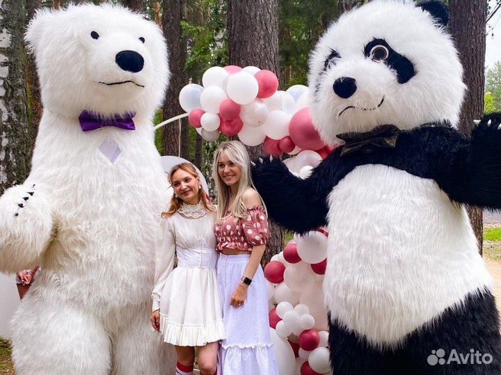 Поздравление от белого медведя/аниматор