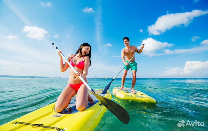 Sap борд прокат/аренда