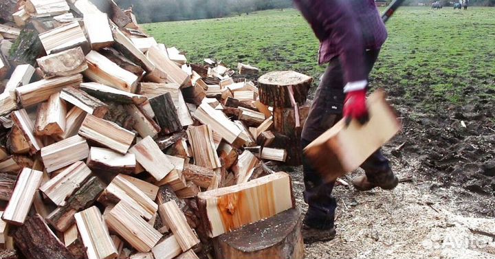 Дрова в ло