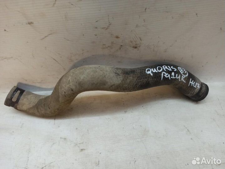 Патрубок радиатора нижний Kia Quoris KH G6DJ 2014