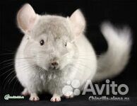 Подарок ребенку к дню рождения и не только