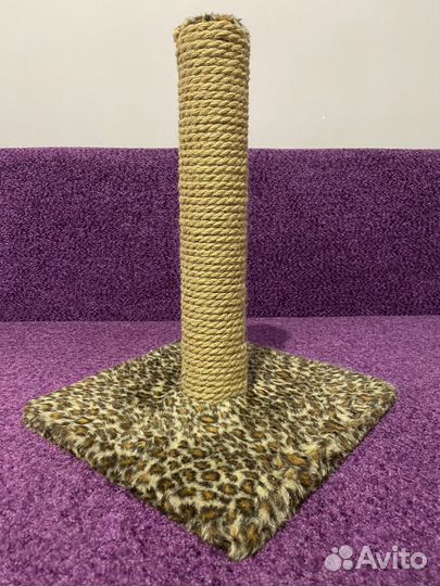 Когтеточка