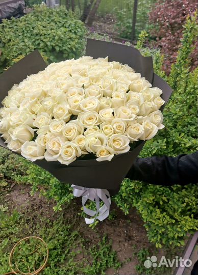 101 роза с доставкой, букет роз с доставкой